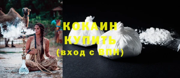 прущий лед Алзамай
