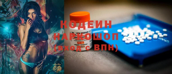 прущий лед Алзамай