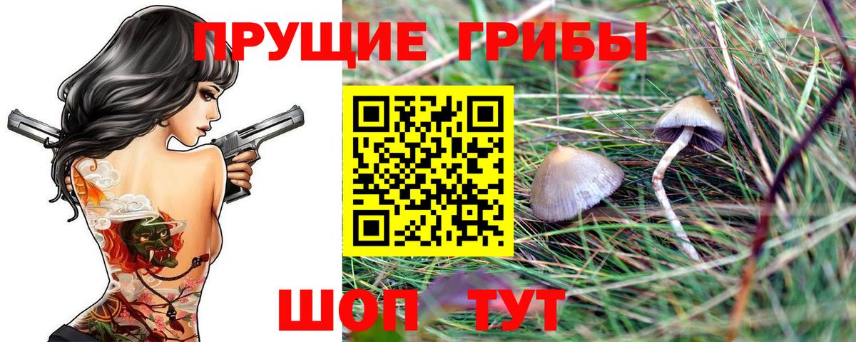 Псилоцибиновые грибы MAGIC MUSHROOMS  Псилоцибиновые грибы мухоморы  Вход с VPN  Южно-Сахалинск 